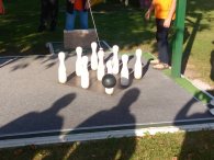 Kegljači v letu 2015