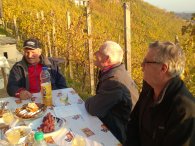 Kegljači v letu 2015